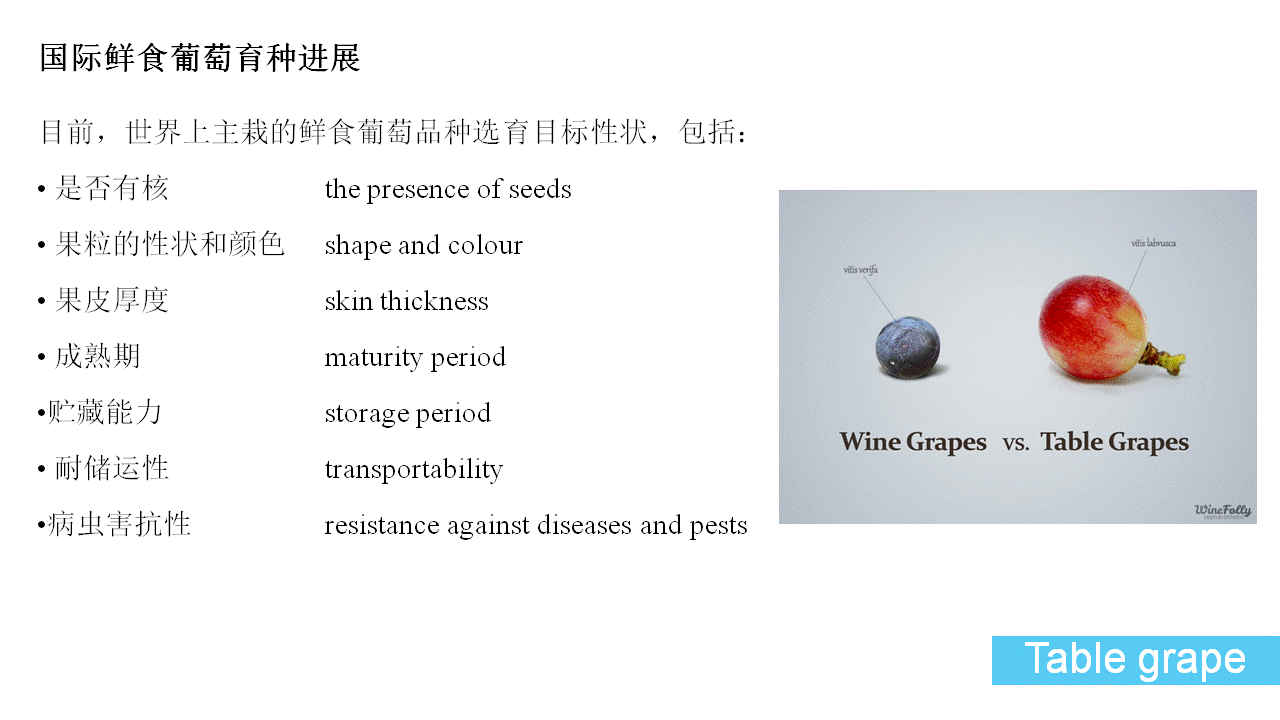 幻灯片23